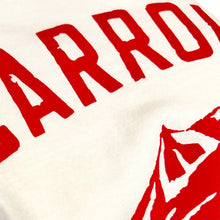 Cargar imagen en el visor de la galería, CARROLL CO. vintage TEE