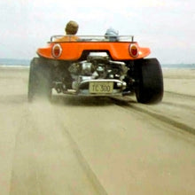 Load image into Gallery viewer, STEVE BUGGY TEE