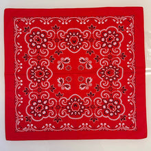 Carica l&#39;immagine nel visualizzatore di Gallery, Bandana XL Yoshi RED
